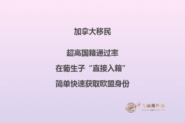 加拿大大西洋四省申請條件，你符合以下條件嗎？