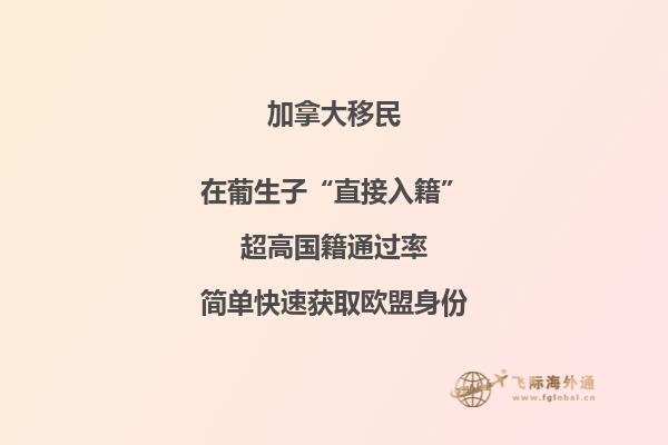 加拿大最受歡迎的專業(yè)，你選對(duì)專業(yè)了嗎？