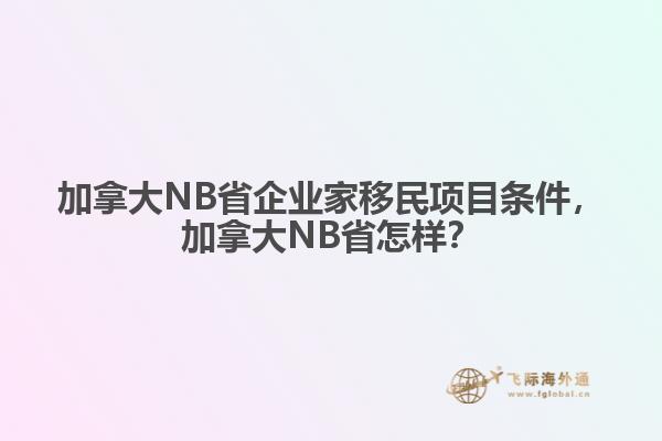加拿大NB省企業(yè)家移民項目條件，加拿大NB省怎樣？