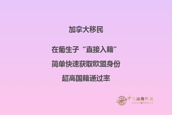 加拿大魁省投資移民需要多少錢，移民政策是什么？