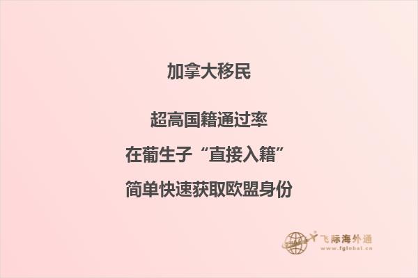 加拿大投資移民大盤點，你最中意哪個？