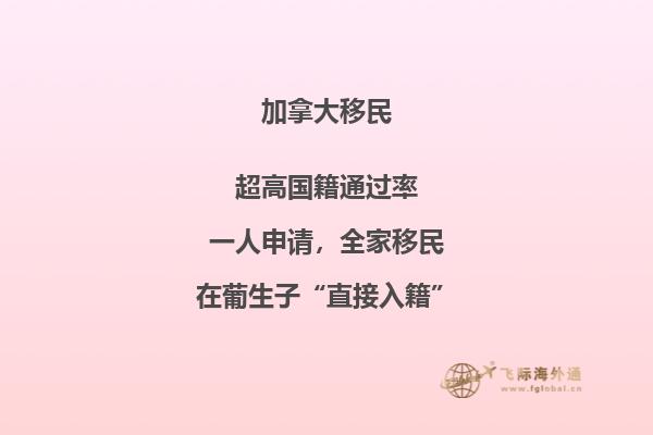 加拿大安省留學(xué)移民費(fèi)用需要多少，流程復(fù)雜嗎？