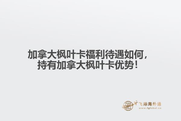 加拿大楓葉卡福利待遇如何，持有加拿大楓葉卡優(yōu)勢(shì)！