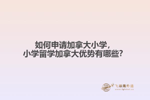 如何申請(qǐng)加拿大小學(xué)，小學(xué)留學(xué)加拿大優(yōu)勢(shì)有哪些？