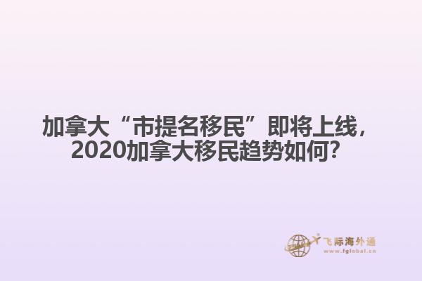 加拿大“市提名移民”即將上線，2020加拿大移民趨勢如何？
