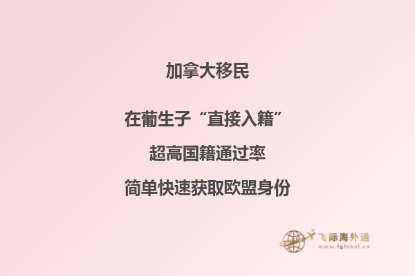 2020加拿大魁省移民政策分析，對你有哪些影響？
