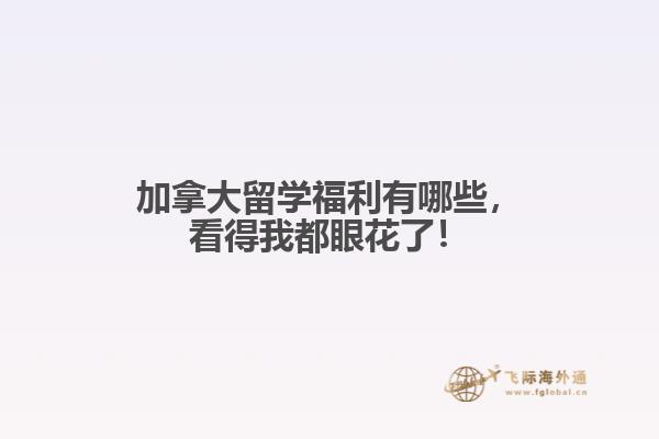 加拿大留學(xué)福利有哪些，看得我都眼花了！? 