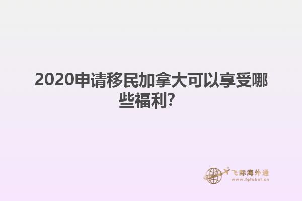 2020申請移民加拿大可以享受哪些福利？