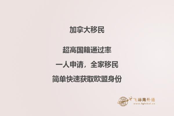 樹林邊的高層城堡