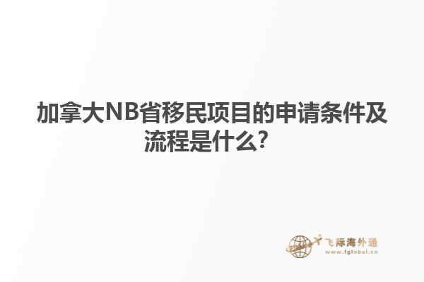 加拿大NB省移民項(xiàng)目的申請條件及流程是什么？