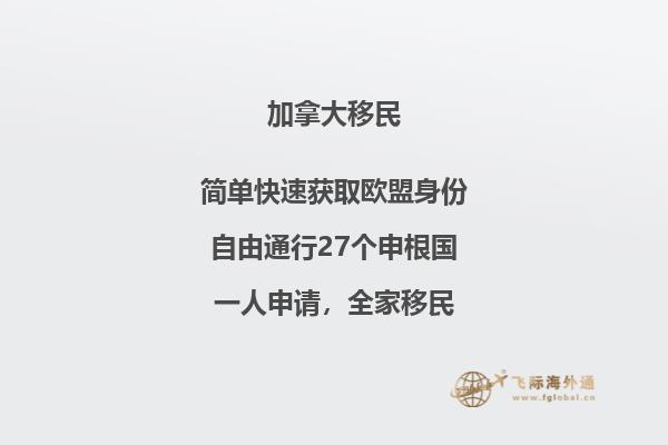 黃色的樹(shù)葉