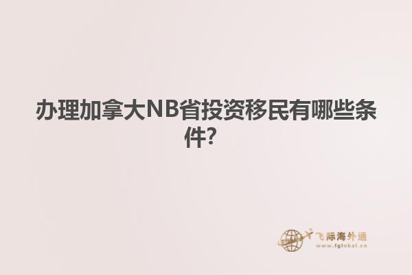 辦理加拿大NB省投資移民有哪些條件？