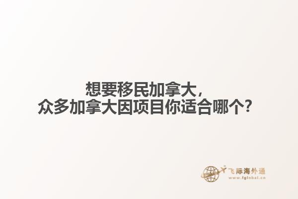 想要移民加拿大，眾多加拿大因項(xiàng)目你適合哪個？