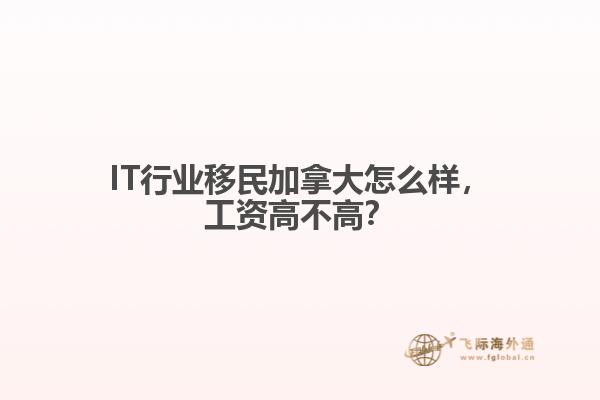 IT行業(yè)移民加拿大怎么樣，工資高不高？