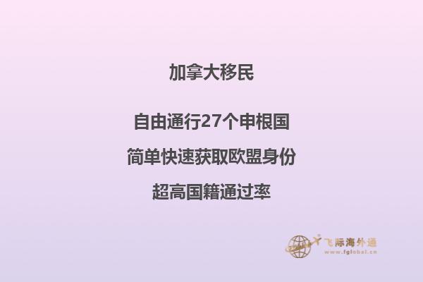 移民加拿大能不能自己申請(qǐng)？2.jpg