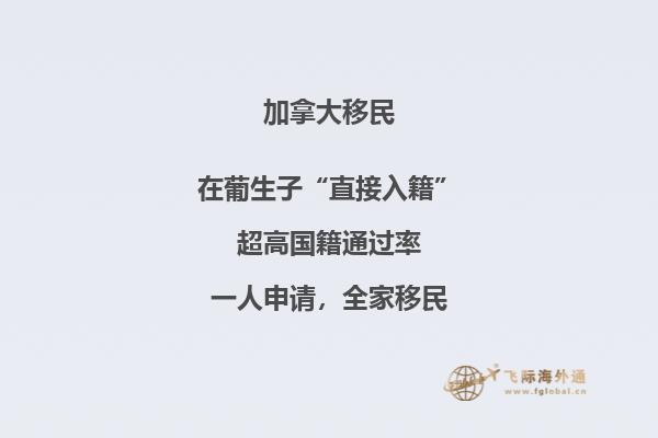 加拿大多倫多大學世界排名多少位