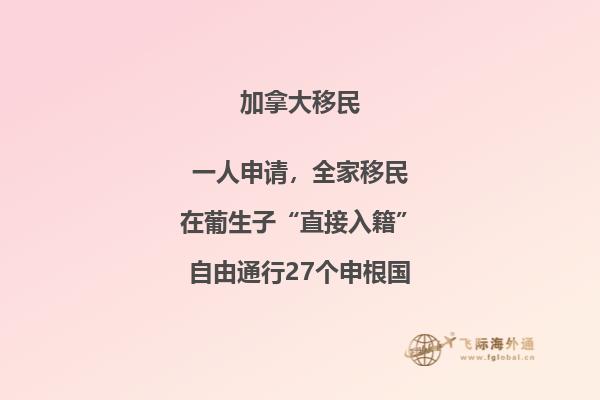 在加拿大大學法律專業(yè)好找工作嗎