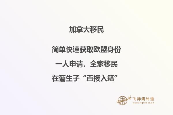 加拿大SUV移民條件，暢享加國自由與豪華！