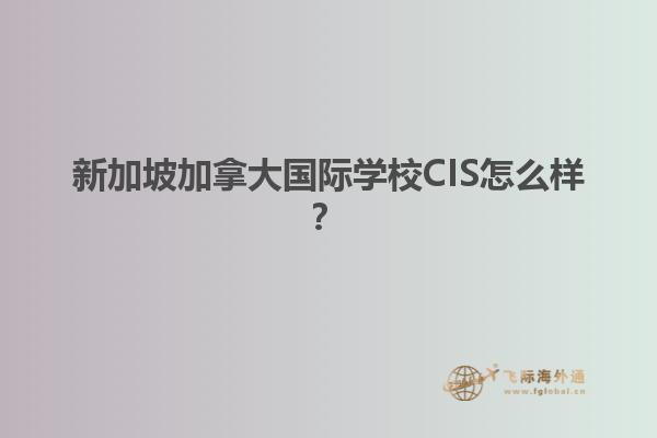 新加坡加拿大國際學校CIS怎么樣？