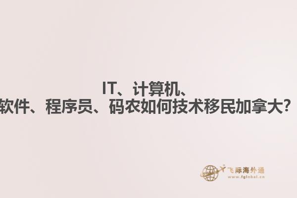 IT、計算機(jī)、軟件、程序員、碼農(nóng)如何技術(shù)移民加拿大？