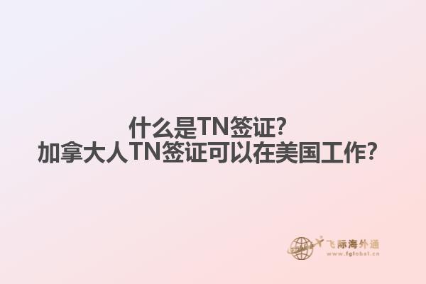 什么是TN簽證？加拿大人TN簽證可以在美國(guó)工作？1.jpg