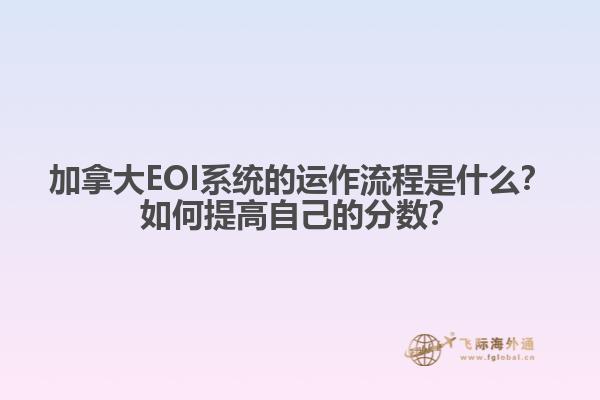 加拿大EOI系統(tǒng)的運(yùn)作流程是什么？如何提高自己的分?jǐn)?shù)？