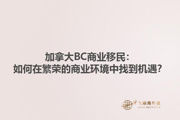 加拿大BC商業(yè)移民：如何在繁榮的商業(yè)環(huán)境中找到機(jī)遇？