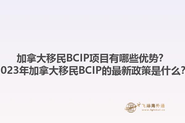加拿大移民BCIP項目有哪些優(yōu)勢？2023年加拿大移民BCIP的最新政策是什么？1.jpg