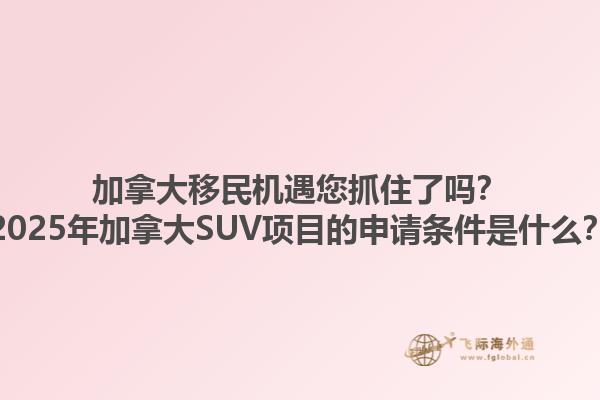 加拿大移民機遇您抓住了嗎？2025年加拿大SUV項目的申請條件是什么？1.jpg