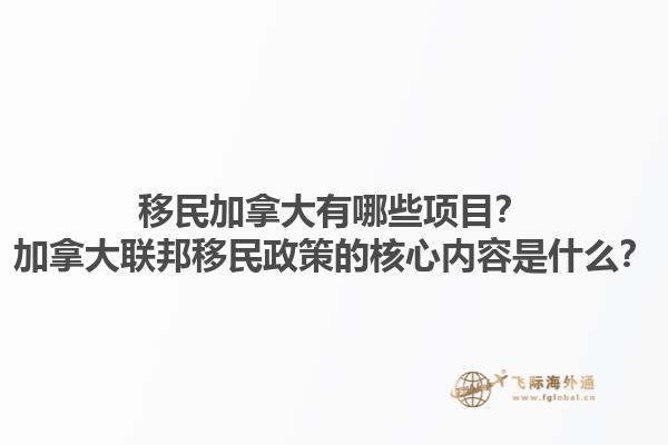 移民加拿大有哪些項(xiàng)目？加拿大聯(lián)邦移民政策的核心內(nèi)容是什么？1.jpg