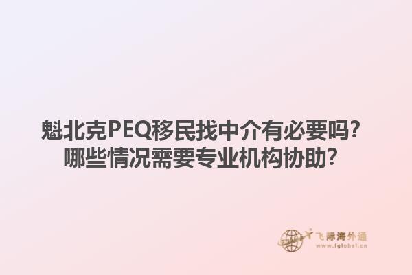 魁北克PEQ移民找中介有必要嗎？哪些情況需要專業(yè)機(jī)構(gòu)協(xié)助？1.jpg