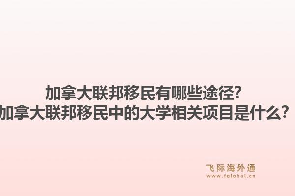 加拿大聯(lián)邦移民有哪些途徑？加拿大聯(lián)邦移民中的大學相關項目是什么？1.jpg