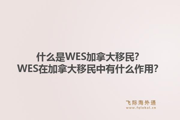什么是WES加拿大移民？WES在加拿大移民中有什么作用？1.jpg