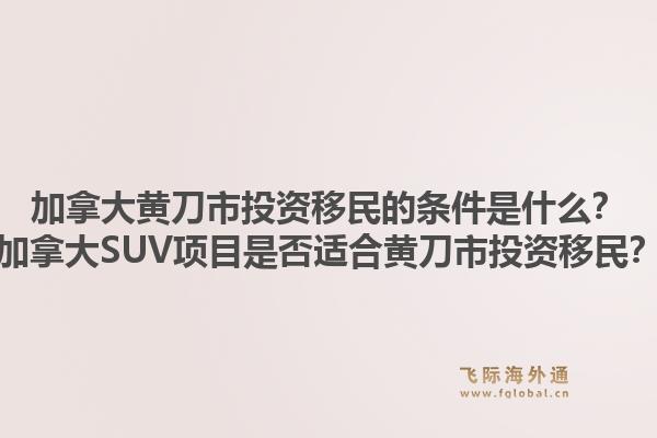 加拿大黃刀市投資移民的條件是什么？加拿大SUV項(xiàng)目是否適合黃刀市投資移民？