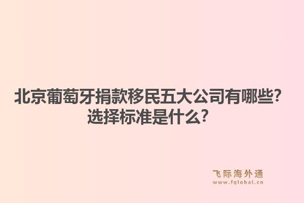 北京葡萄牙捐款移民五大公司有哪些？選擇標準是什么？