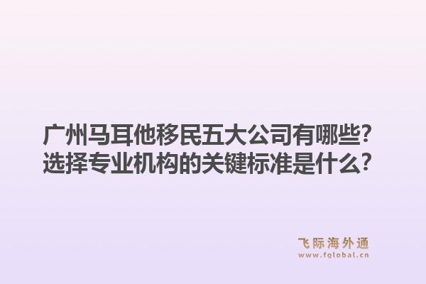 廣州馬耳他移民五大公司有哪些？選擇專業(yè)機構(gòu)的關(guān)鍵標準是什么？