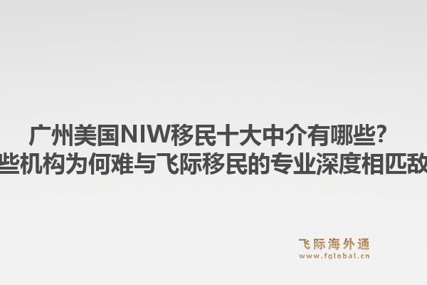 廣州美國NIW移民十大中介有哪些？這些機構(gòu)為何難與飛際移民的專業(yè)深度相匹敵？