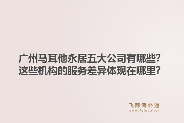 廣州馬耳他永居五大公司有哪些？這些機構(gòu)的服務(wù)差異體現(xiàn)在哪里？1.jpg