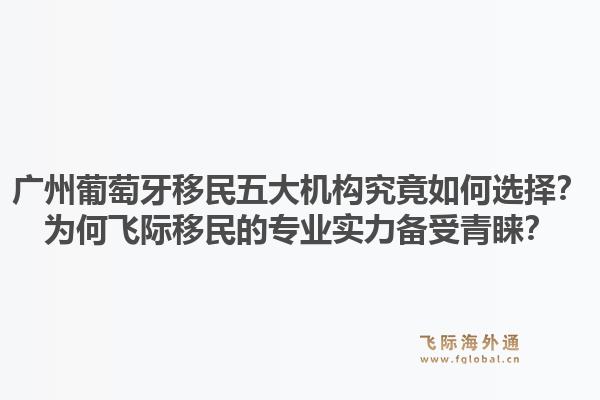 廣州葡萄牙移民五大機(jī)構(gòu)究竟如何選擇？為何飛際移民的專業(yè)實(shí)力備受青睞？1.jpg