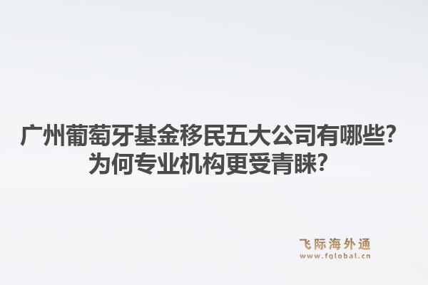 廣州葡萄牙基金移民五大公司有哪些？為何專業(yè)機(jī)構(gòu)更受青睞？1.jpg