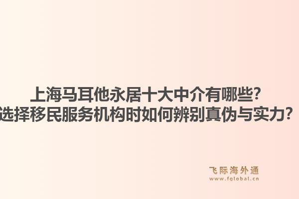 上海馬耳他永居十大中介有哪些？選擇移民服務(wù)機(jī)構(gòu)時如何辨別真?zhèn)闻c實(shí)力？