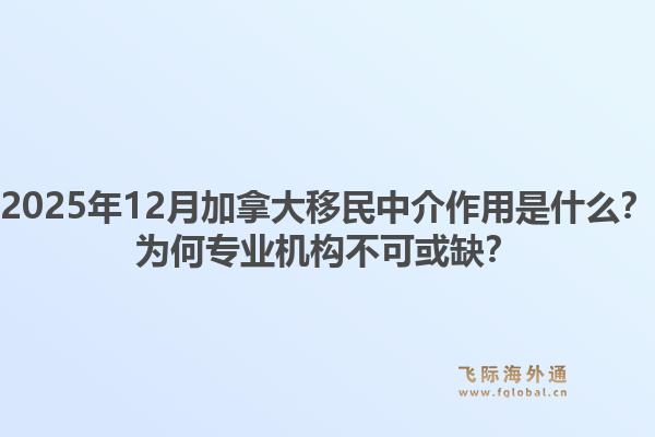 2025年12月加拿大移民中介作用是什么？為何專業(yè)機(jī)構(gòu)不可或缺？