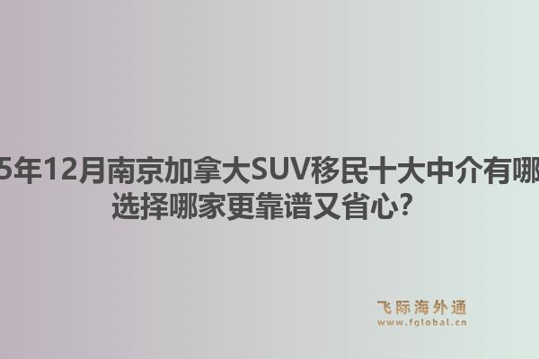 2025年12月南京加拿大SUV移民十大中介有哪些？選擇哪家更靠譜又省心？