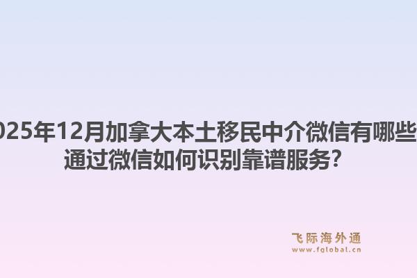 2025年12月加拿大本土移民中介微信有哪些？通過微信如何識(shí)別靠譜服務(wù)？