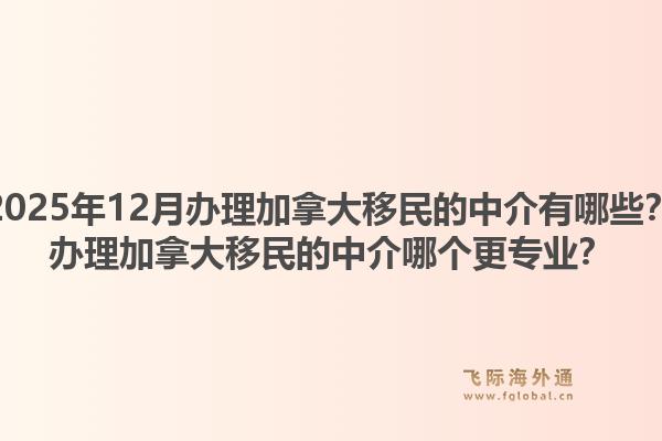 2025年12月辦理加拿大移民的中介有哪些？辦理加拿大移民的中介哪個(gè)更專業(yè)？1.jpg